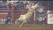 Texas-Rodeo Championship Bull Riding