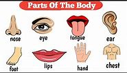 Parts Of The Body | Human body parts
