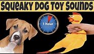 Squeaky Toy Dog Toy Sounds 1 Hour | DOG TOYS ONE HOUR