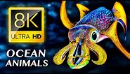 The Elegance of Fishes & Sea Animals 8K VIDEO ULTRA HD