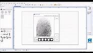 Fingerprint image scanner