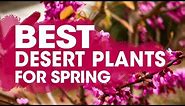 Best Desert Plants for Drought Tolerant & Heat Resistant Spring Planting