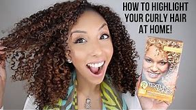 How To Highlight Curly Hair At Home! Clairol Professional Textures & Tones! | BiancaReneeToday