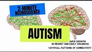 2-Minute Neuroscience: Autism