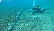 7000-year-old road discovered at the bottom of Mediterranean Sea