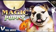 A MAGIC PUPPY - FULL FAMILY MOVIE IN ENGLISH - V EXCLUSIVE
