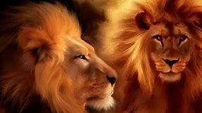 The Lion of Judah is Roaring