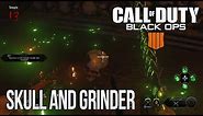 Zombies IX - Skull Locations and Grinder Easter Egg Step (Black Ops 4)