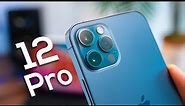 Review iPhone 12 Pro Indonesia - Percuma bayar mahal.
