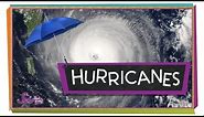 What's a Hurricane? | Weather Science | SciShow Kids