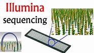 Illumina sequencing | DNA sequencing by synthesis