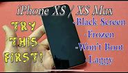 iPhone XS / XS Max: Fix Black Screen, Frozen, Stuck on Apple Logo, Won't Boot (1 Minute Fix)