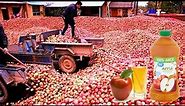 How is Apple Juice Produced, Modern Fruit Juice Production Process Saves Millions of Dollars