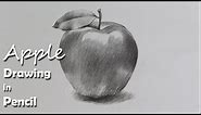 How to Draw An Apple in Pencil | step by step how to use pencil strokes | Artist : Supriyo