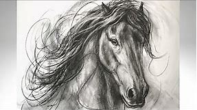 Charcoal Drawing~Horse~Step-By-Step