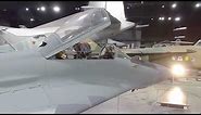 Mikoyan-Gurevich MiG-29A Cockpit Views and Drone Flight