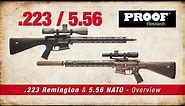 Overview of the 5.56 Nato/223 Remington -- WWSD rifles with 20" & 16" barrels
