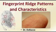 Fingerprint Ridge Patterns and Characteristics
