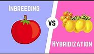 Hybridization vs Inbreeding