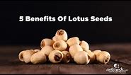 Top 5 Reasons To Add Lotus Seeds To Your Diet