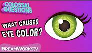 Why Are There Different Eye Colors? | COLOSSAL QUESTIONS