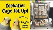 How to Set Up Your Cockatiel's Cage! | Parrot Cage Tour | BirdNerdSophie AD