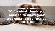 30 funniest thank you memes to show your appreciation to friends