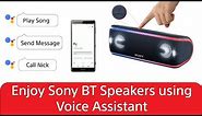 Sony Wireless Bluetooth Speaker - Voice Assistant Function