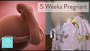 5 Weeks Pregnant: What You Need To Know - Channel Mum