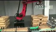 4 Axis Robot working