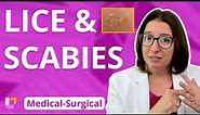 Lice & Scabies; Parasitic Infections: Integumentary System - Medical-Surgical | @LevelUpRN