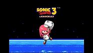 Sonic 3 & Knuckles (Genesis) - Hyper Knuckles Longplay with New Game+