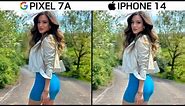 Google Pixel 7a vs iPhone 14 Camera Test