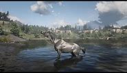 How to Find Rare Gray Mustang In Red Dead Redemption 2