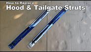 How to Replace Hood and Tailgate Lift Support Struts - Chevy Camaro & Pontiac Trans Am Firebird
