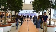 This is what a Jony Ive-designed Apple store looks like