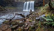 A Guide To The Four Waterfalls Walk, Brecon Beacons | Wandering Welsh Girl