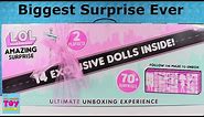 LOL Amazing Surprise OMG Doll 14 Exlusive Dolls Unboxing Toy Review | PSToyReviews