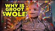 Guardians of the Galaxy SWOLE GROOT Explained!