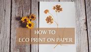 HOW TO ECO PRINT ON PAPER | THE SECRET TO CLEAR PRINTS | BOTANICAL PRINTING | NATURAL DYE