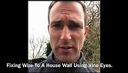 How To Support Climbers With Wire and Vine Eyes, Supporting Climbing Plants, Home DIY