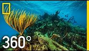 360° Underwater National Park | National Geographic