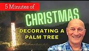 Lighting a Palm Tree for Christmas | 5 Minutes of Christmas