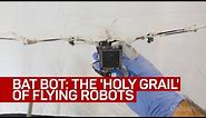 Bat Bot flying robot takes to the air