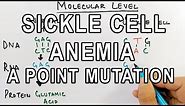 Sickle Cell Anemia | A Detailed Genetics
