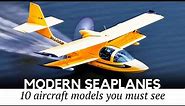 Top 10 Amphibious Aircraft and Private Seaplanes You Can Still Fly Today