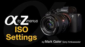Sony Alpha A to Z Menus: ISO Settings