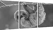 Black and White Wall Art Canvas Wildlife Wall Decor Greeting Sloth Pictures on Wall Art for Home Office Decorations Living Room Bedroom and Kitchen Decor 3 Pcs Framed Canvas Prints 12X16inches