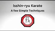 Isshin ryu Karate: A Few Simple Techniques