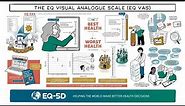 EuroQol Whiteboard Animation THE EQ VISUAL ANALOGUE SCALE EQ VAS
